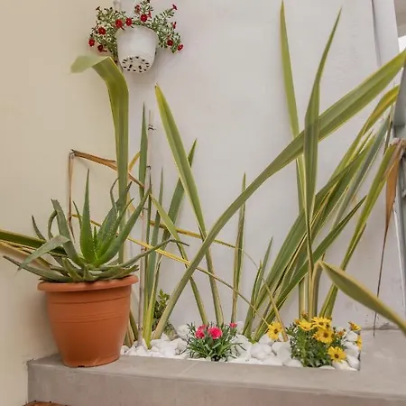 The 3 Brothers' Apts 4* Chania (Crete)