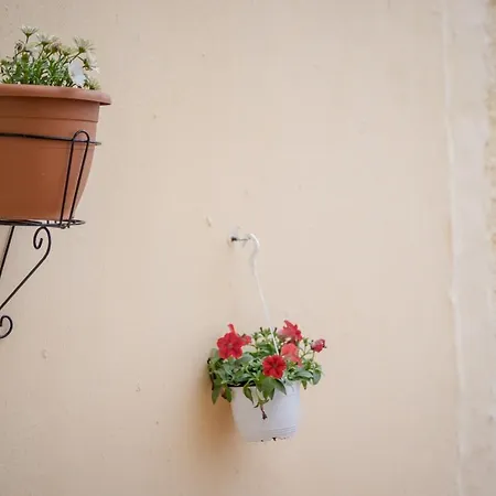 The 3 Brothers' Apts * Chania (Crete)