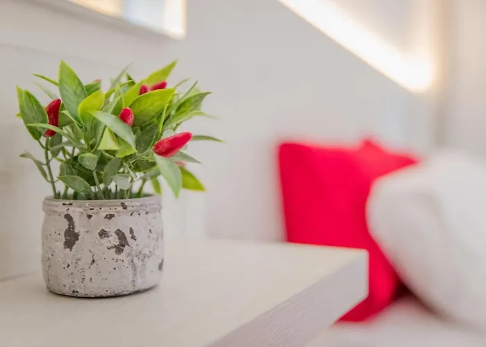 The 3 Brothers' Apts בית הארחה חאניה