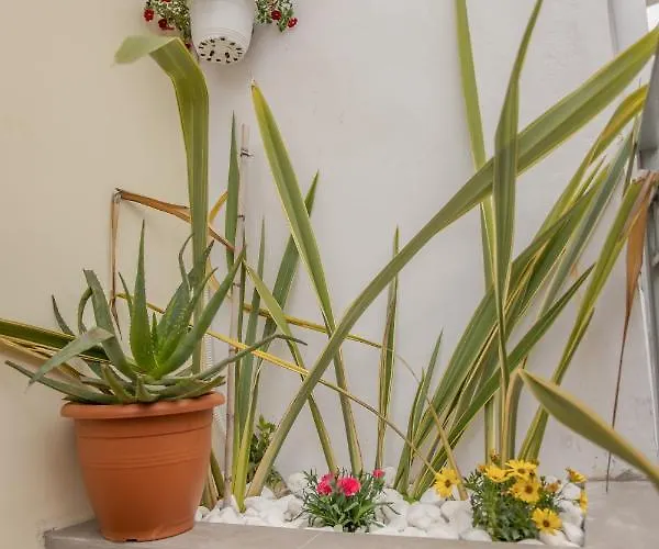 The 3 Brothers' Apts 4* Chania (Crete)